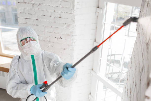 Dehumidification Services in Nuevo, CA