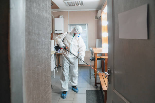 Best Mold Removal for HVAC Installations  in Nuevo, CA