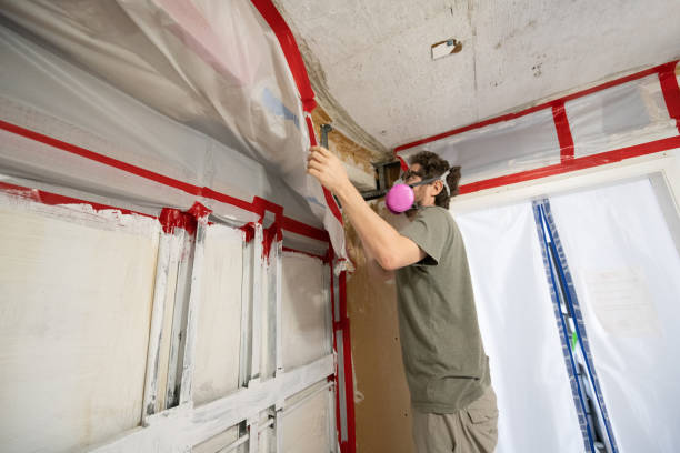 Best HVAC Mold Inspection and Cleaning  in Nuevo, CA