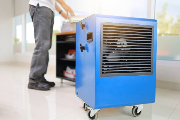 Professional Mold Removal in Nuevo, CA
